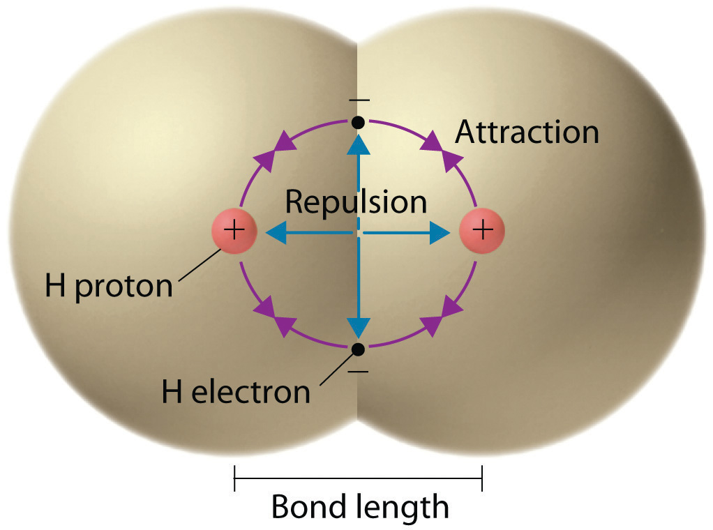 lewis-structures-and-covalent-bonding