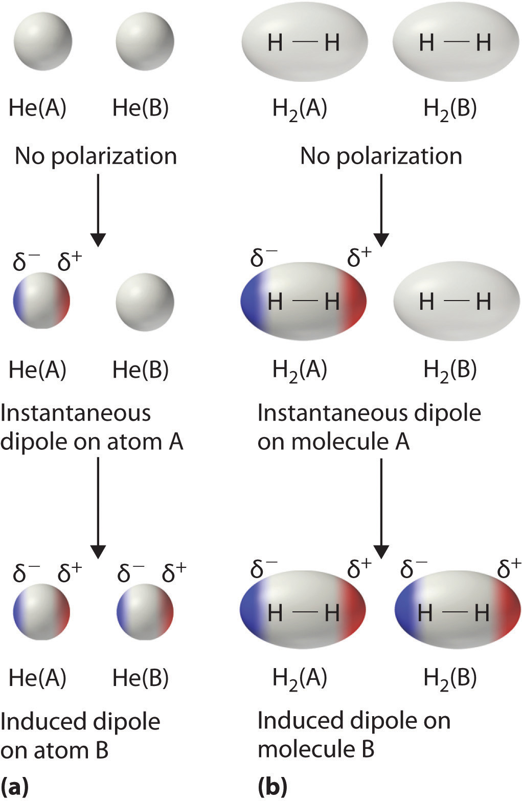 ion-dipole-forces-ion-induced-dipole-interactions-chemistry-youtube