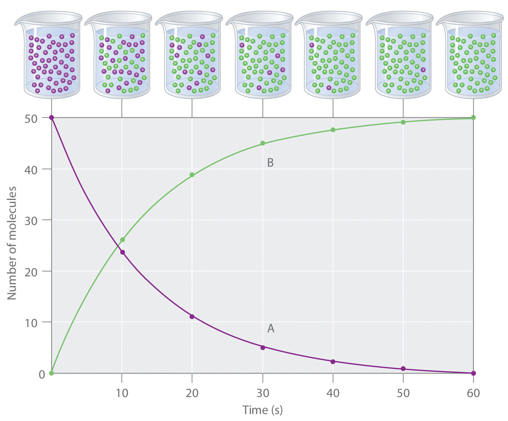 What Does The Reaction Rate Say About A Reaction