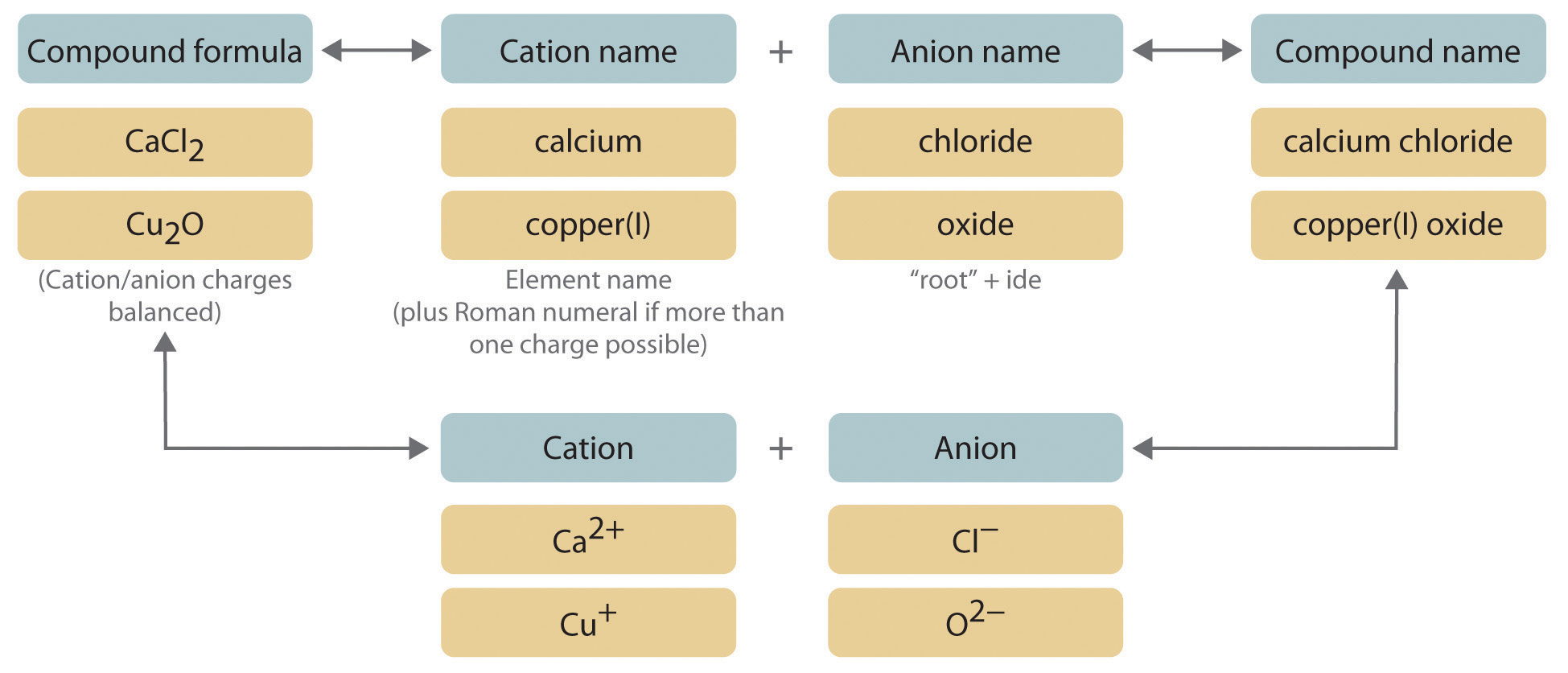 Metals Having More Than One Possible Charge