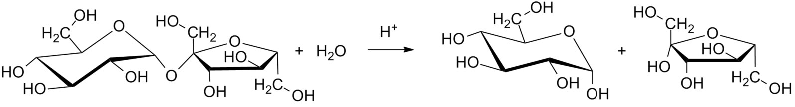 sucrose hydrolysis reaction